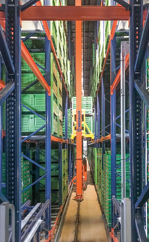 Nueva bodega automática de Kiwi Greensun en Salvador de Briteiros