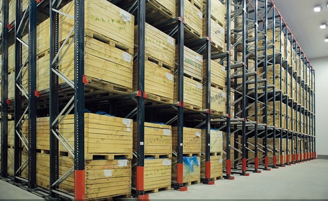 Mecalux ha suministrado a Alifrut cuatro bloques de racks penetrables drive-in en su cámara de congelación