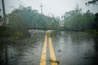 Any disruption can lead to an emergency situation for the supply chain Any disruption can lead to an emergency situation for the supply chain