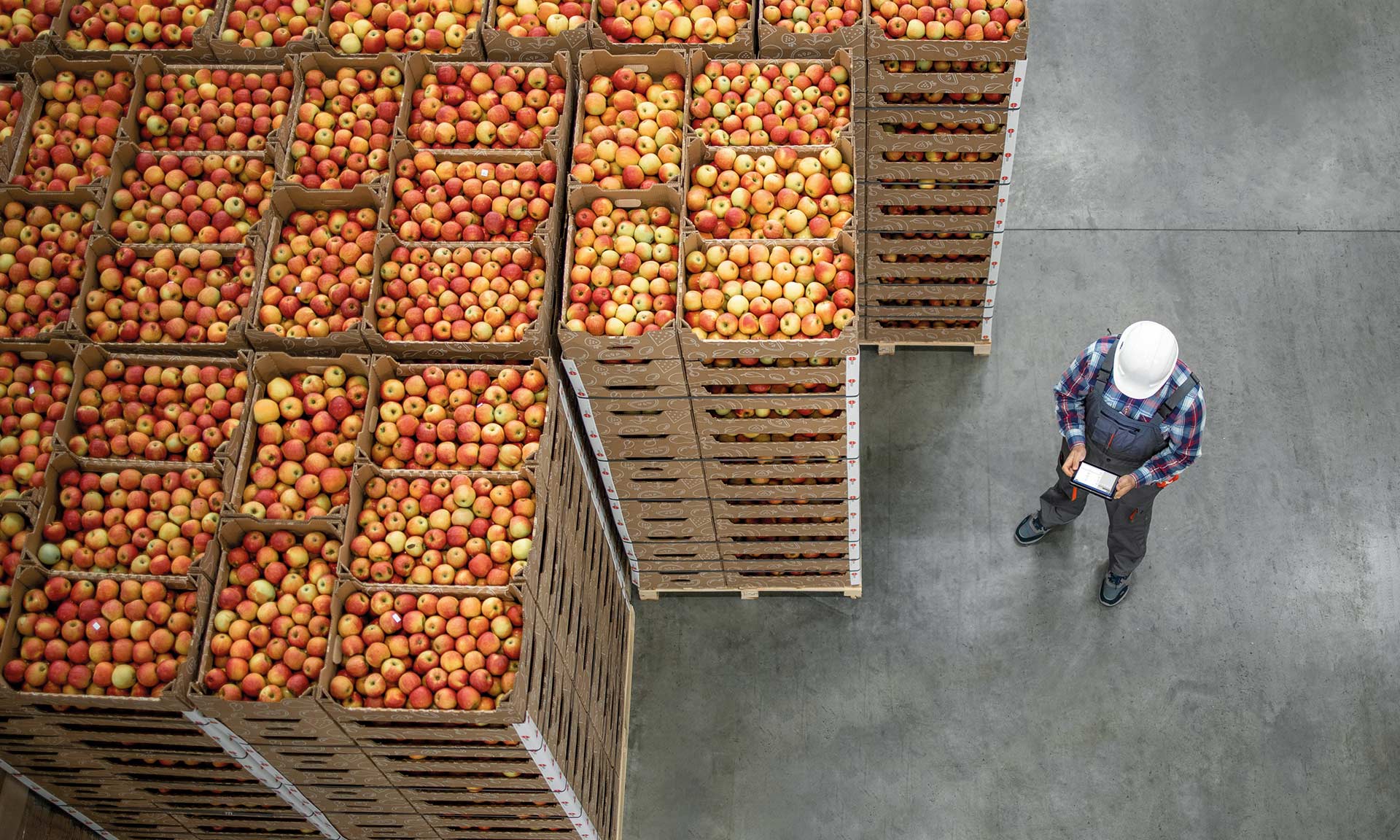 Megafin (3PL) digitaliza con Easy WMS uno de las mayores bodegas de Colombia Megafin (3PL) digitaliza con Easy WMS uno de las mayores bodegas de Colombia