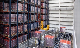 Grupo Rica inaugura la primera bodega automática de pallets de la República Dominicana